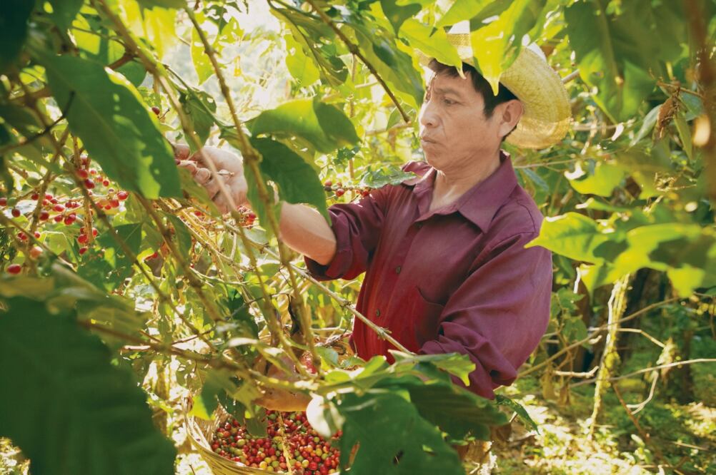 ARCHIVO EL UNIVERSAL