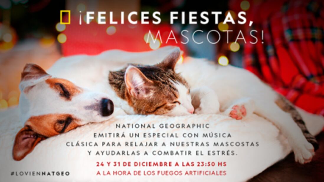 ¿Qué ver en Noche buena y Navidad?