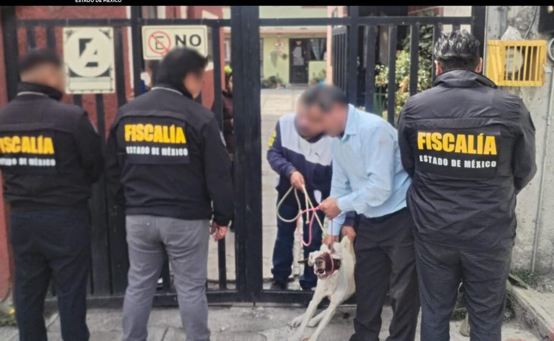 Elementos de la FGJEM, Policía Municipal de Lerma y Centro de Bienestar Animal dieron cumplimiento a una orden de técnica de investigación de cateo para rescatar a un ejemplar canino.
Foto: Especial.