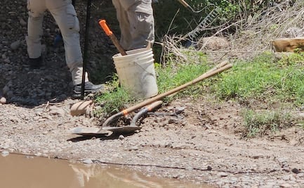 Colectivo de búsqueda localiza restos óseos en sindicatura de Aguaruto, Sinaloa; se desconoce el número de posibles víctimas  