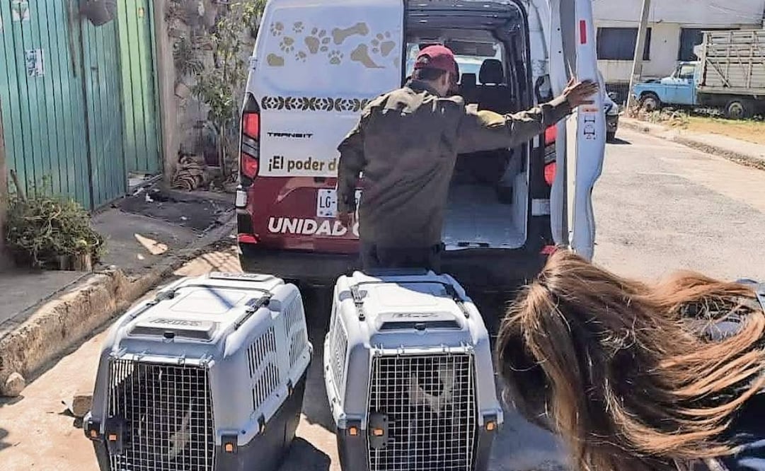 La estrategia CERA opera en 14 municipios del Estado de México hasta marzo pasado, informaron. Foto: Especial