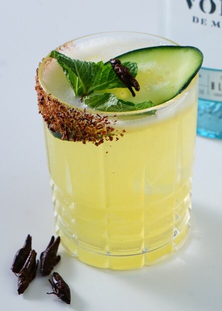 Disfruta el fin de semana con ricos cocteles de tequila