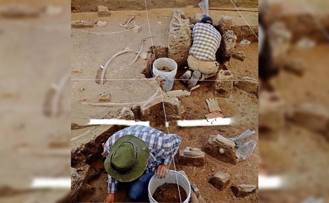 Las políticas, polémicas y aportaciones del salvamento y rescate arqueológico fueron los temas del Seminario que organizó Bolfy Cottom. Foto: Archivo EL UNIVERSAL