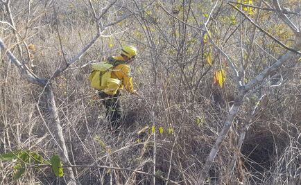 Reportan bajo control incendio en Cañón del Sumidero