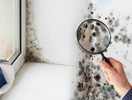 ¿Humedad en casa? Así puedes hacer un deshumidificador casero