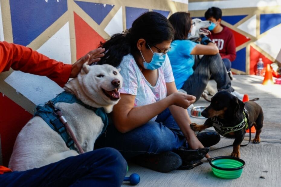 Enseñan cuidado de perros ante la pirotecnia