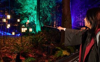 El Bosque Prohibido de Harry Potter estará muy cerca de CDMX