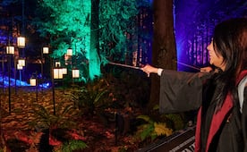 El Bosque Prohibido de Harry Potter estará muy cerca de CDMX