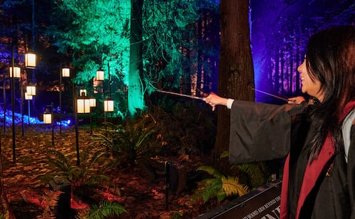 El Bosque Prohibido de Harry Potter estará muy cerca de CDMX