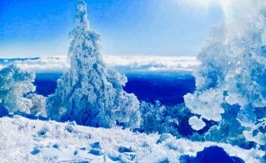 Nevadas. Foto: Especial