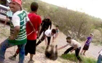 Profepa presenta denuncia penal por asfixia de osezno en Castaños, Coahuila 