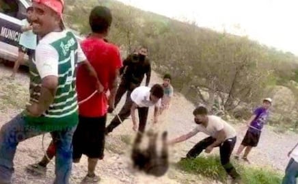 Profepa presenta denuncia penal por asfixia de osezno en Castaños, Coahuila 