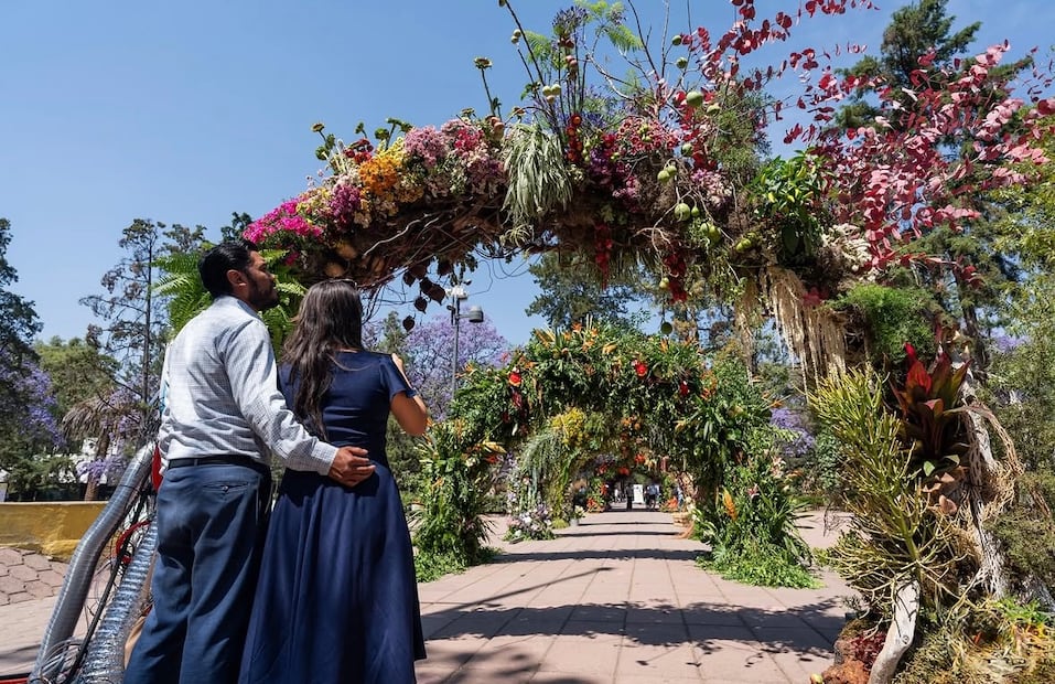 Festival de Flores y Jardines 2026. Foto: Instagram @fyjamx