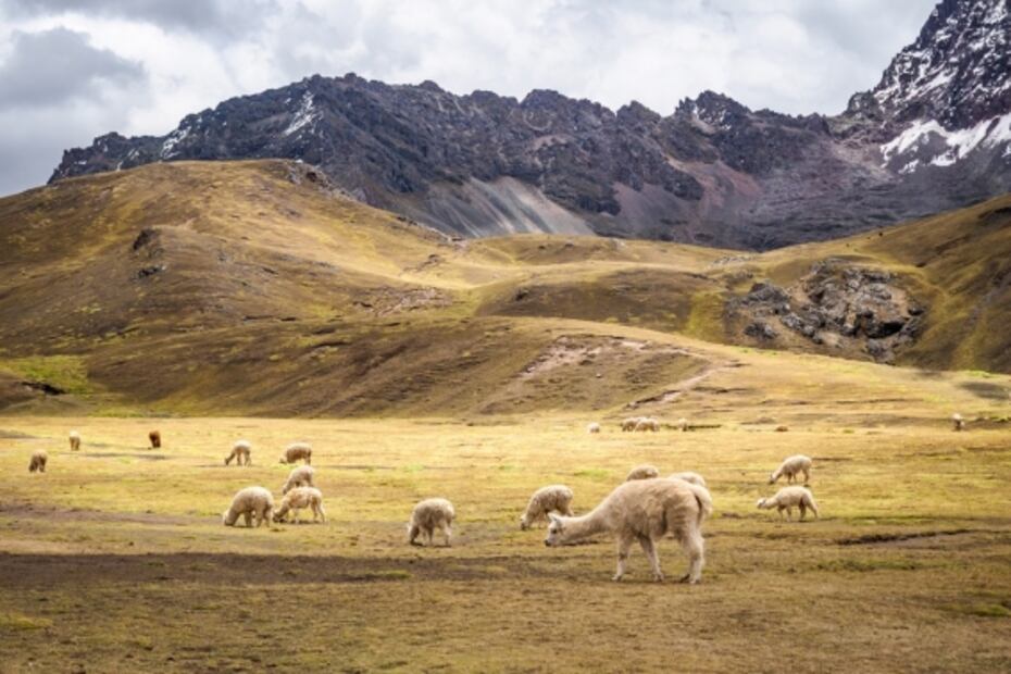 Así es la montaña de los siete colores de Perú