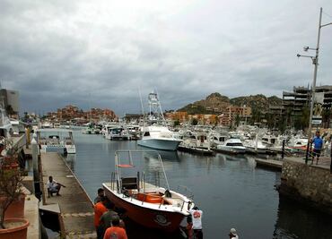 Saldo blanco al momento en BCS por "Newton": PC