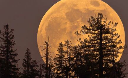 No te pierdas la superluna rosa de abril, que se verá en México