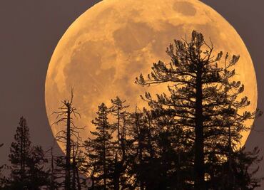 No te pierdas la superluna rosa de abril, que se verá en México