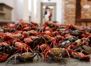 Drama de refugiados protagoniza exposición de Ai Weiwei en Italia