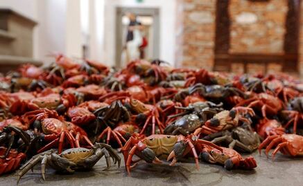 Drama de refugiados protagoniza exposición de Ai Weiwei en Italia