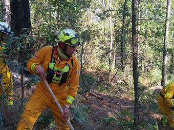 Sofocan incendio causado por un rayo en Allende, Nuevo León