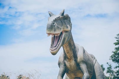 Cuánto cuesta entrar a la nueva exhibición de dinosaurios en CDMX