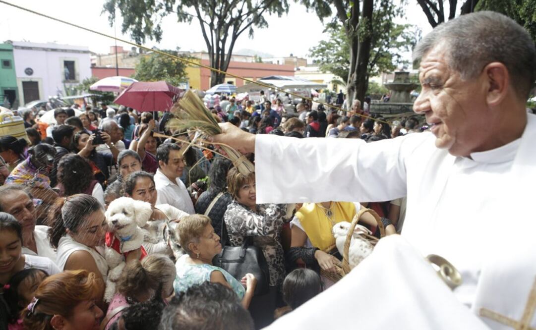 Fotos: Mario Arturo Martínez / EL UNIVERSAL