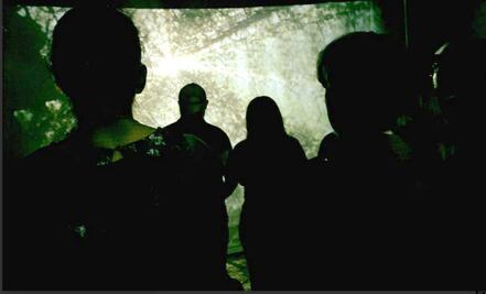 “El Bosque” de luz, arte inmersivo gratis en el Centro Histórico