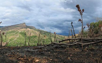 Los geólogos ofrecen nuevas pistas sobre la mayor extinción mundial