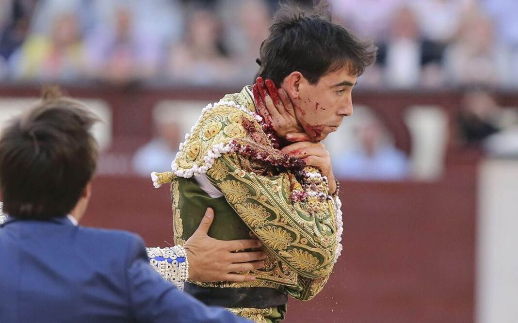 Torero Jiménez Fortes sufre terrible cornada en Madrid