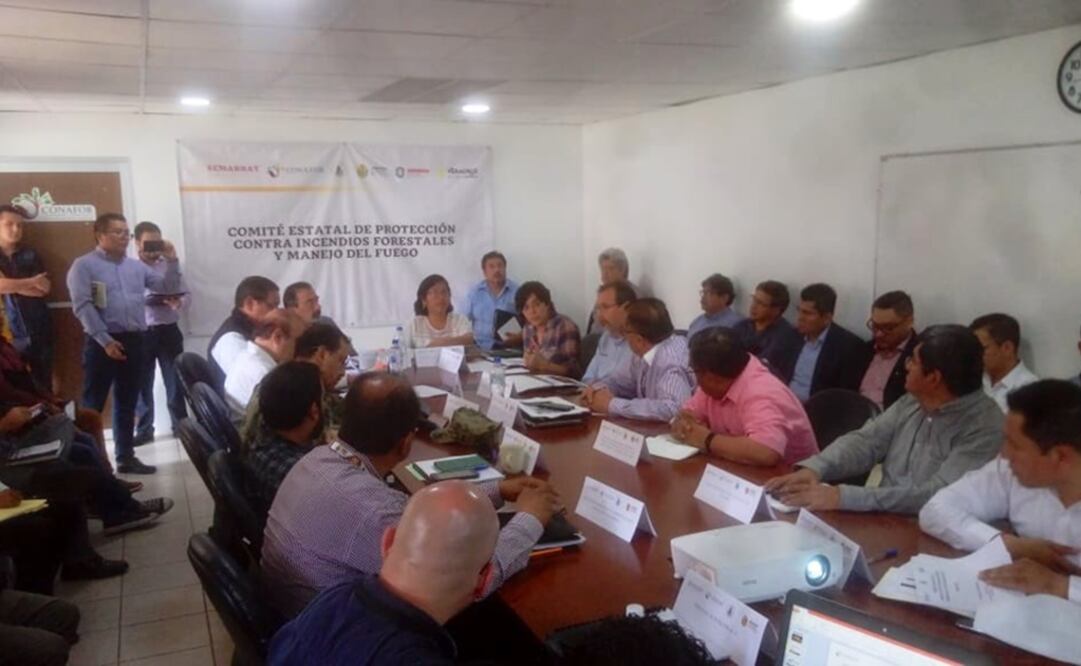 Se ha registrado una afectación de 270 hectáreas, cifra mayor en comparación con lo registrado en 2018, cuando hubo 22 incendios con 175 hectáreas afectadas. Foto: Twitter @PCEstatalVer