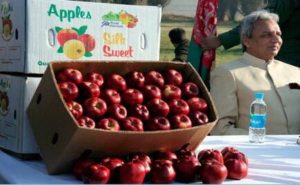 Mexico ends tariffs on U.S. apple imports