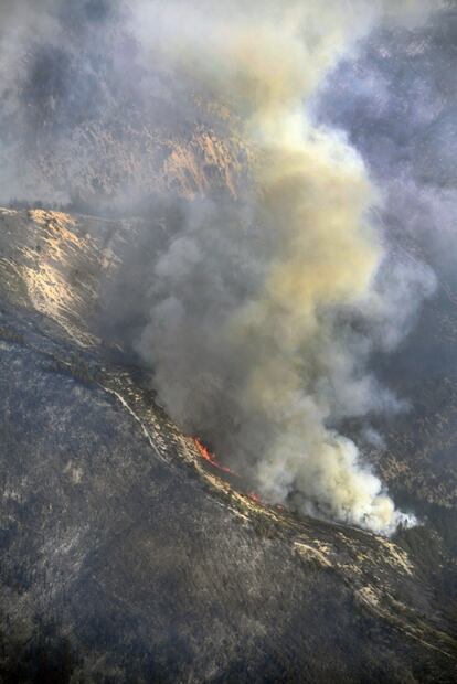 Incendios forestales en 2020 pueden superar récords de 2019: WWF