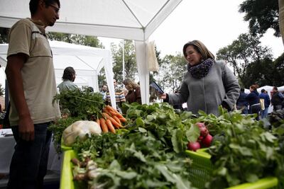 Organizan primer mercado de productos orgánicos en MH