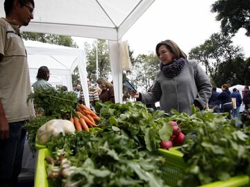 Organizan primer mercado de productos orgánicos en MH