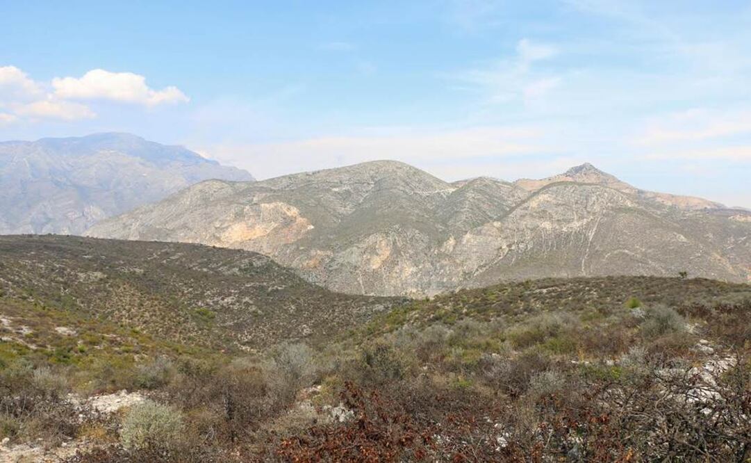 Archivo / EL UNIVERSAL