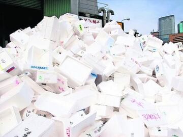 Científicos de la UNAM desarrollan unicel biodegradable con tamarindo