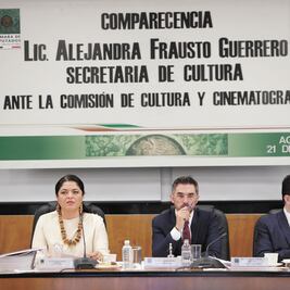 Piden pruebas contra Mayer