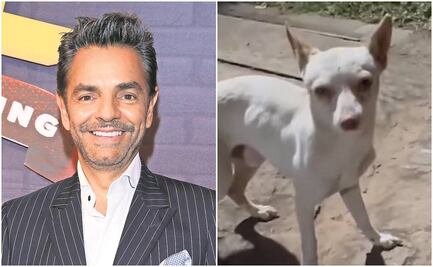 Eugenio Derbez rescata a un perrito, le busca hogar pero le piden que se quede con él 