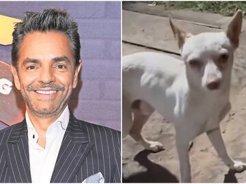 Eugenio Derbez rescata a un perrito, le busca hogar pero le piden que se quede con él