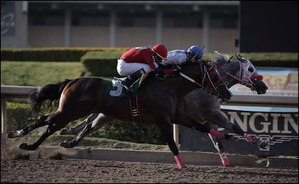 Hipódromo de las Américas vive tarde de sorpresas 