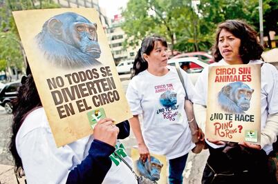 Partido Verde gasta millones en bienes de lujo