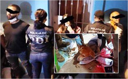 Rescatan a 60 lomitos hacinados en CTM Culhuacán; detienen a 3 presuntos mata perros
