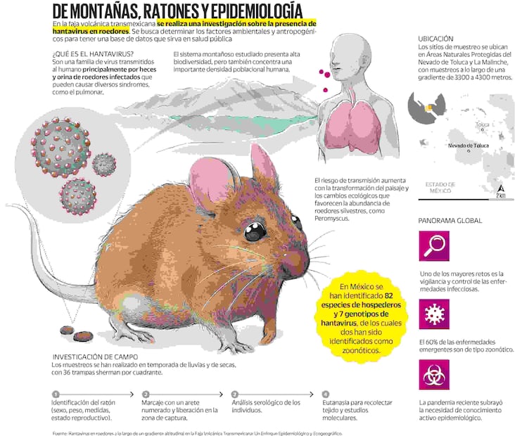 Infografía: Elaboración propia