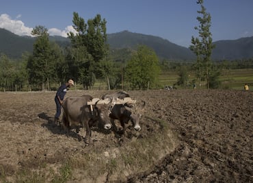 India impondrá aranceles a productos de EU en represalia: comunicado