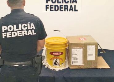 Para evadir controles, meten droga a EU en productos "gourmet"