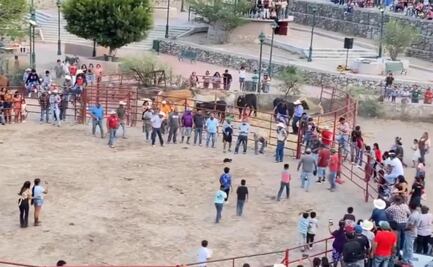 Amarran pirotecnia al cuerpo de dos gatos en rodeo de Guanajuato; Fiscalía estatal investiga maltrato animal