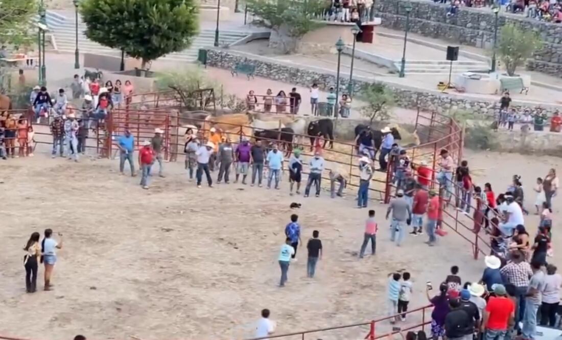Imágenes muestran los gatos saltan al encender la pirotecnia que tienen amarrada a su cuerpo durante un evento en un rodeo de Xíchú, Guanajuato (27/05/2025). Foto: Captura de video