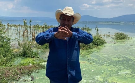 Habitantes de Endhó, Hidalgo, lanzan petición en plataforma ante crisis ambiental ocasionada por mosco Culex; exigen intervención