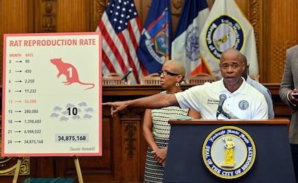 Nueva York adopta una trampa a base de alcohol como nueva arma contra ratas