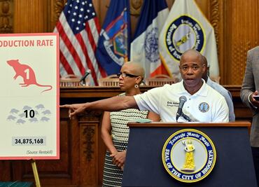 Nueva York adopta una trampa a base de alcohol como nueva arma contra ratas